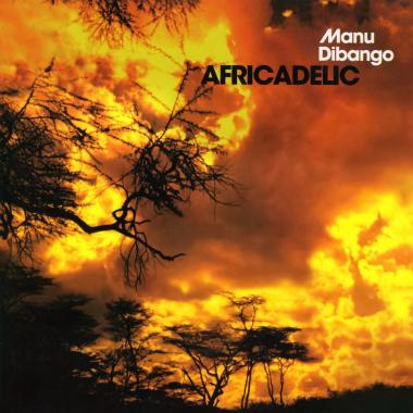 Manu Dibango -  Africadelic